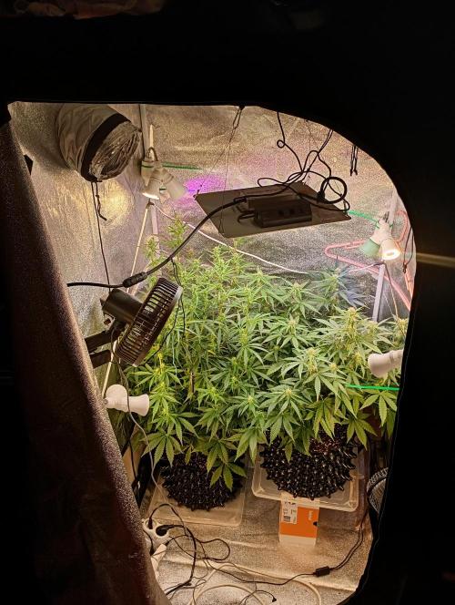 RQS vs Barney's (Auto). Week 7 - День 48