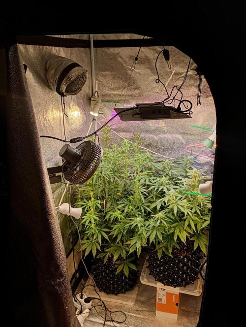 RQS vs Barney's (Auto). Week 7 - День 48
