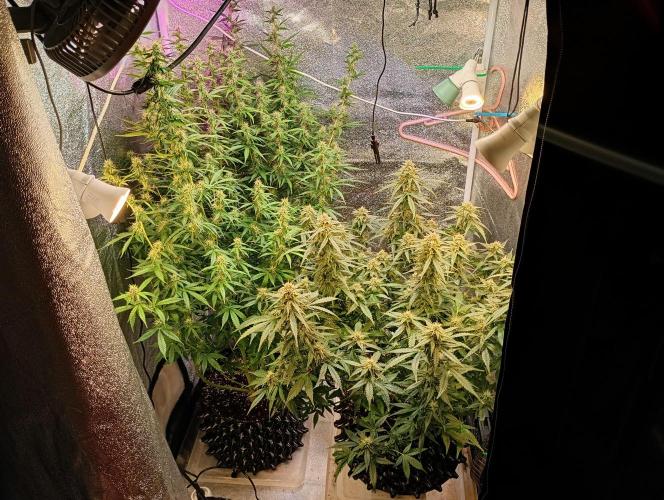 RQS vs Barney's (Auto). Week 9 - День 57