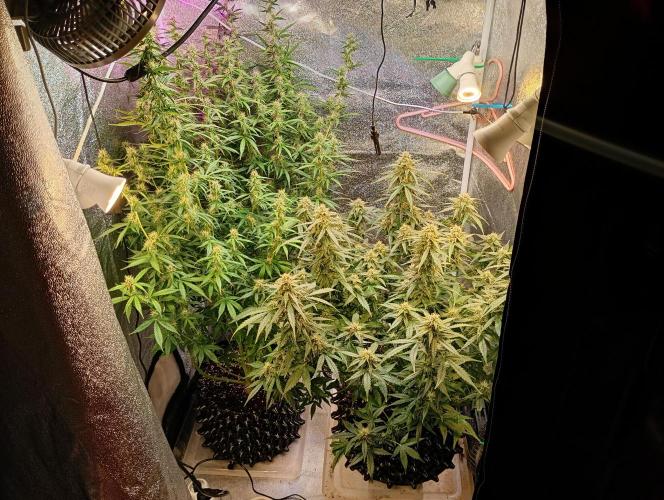 RQS vs Barney's (Auto). Week 9 - День 57 