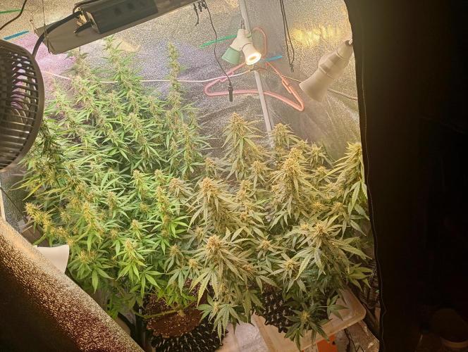 RQS vs Barney's (Auto). Week 9 - День 62
