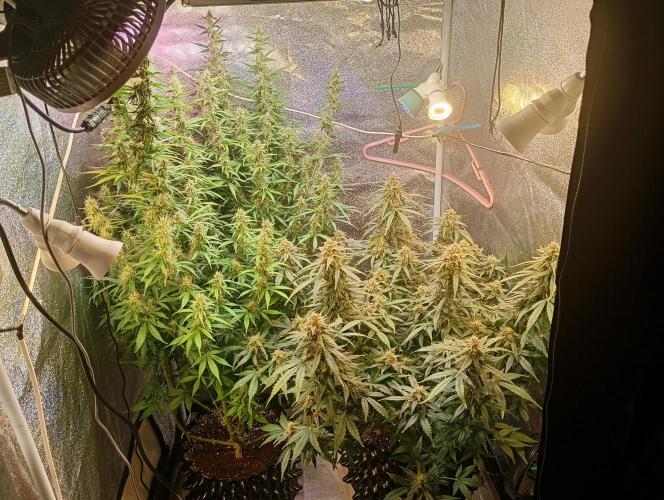 RQS vs Barney's (Auto). Week 10