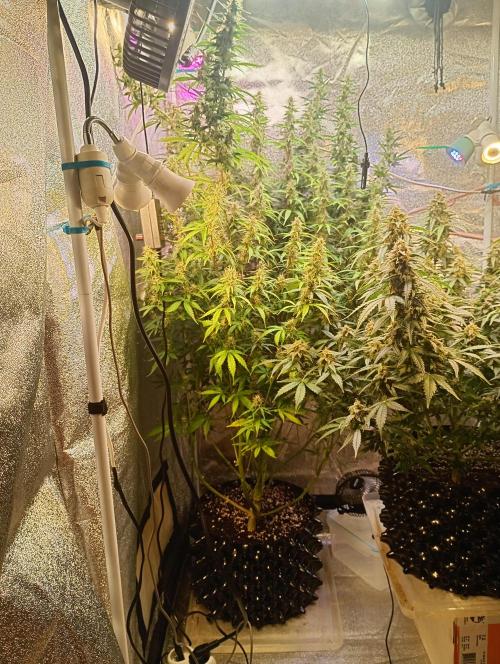 RQS vs Barney's (Auto). Week 10 - День 65 