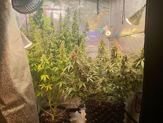 RQS vs Barney's (Auto). Week 11
