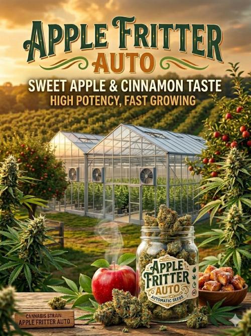 Apple Fritter Auto Outdoor. Week 0