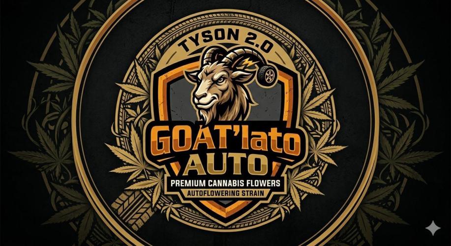 GOAT'lato Auto Outdoor. Week 0