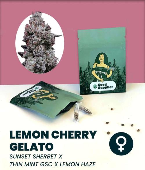 Lemon Cherry Gelato. Week 0