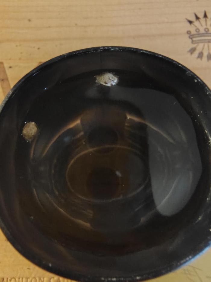 Gorilla Cookies FF. Week 0 - 12/07 germination 
