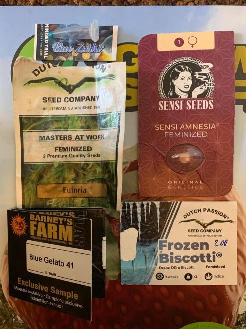 blue zushi,sensi amnesia,frozen biscotti. Week 0