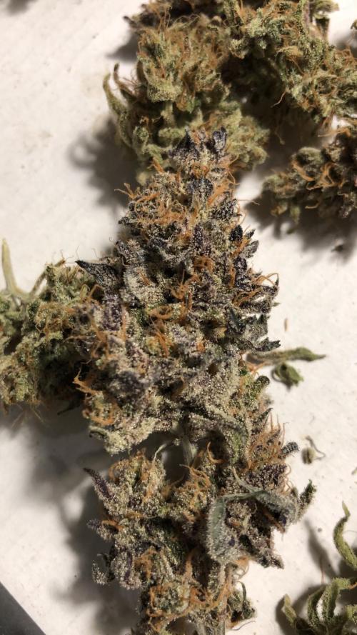 lemon z - cream caramel - kush mints ... Week 15