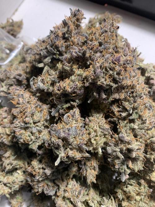 lemon z - cream caramel - kush mints ... Week 15