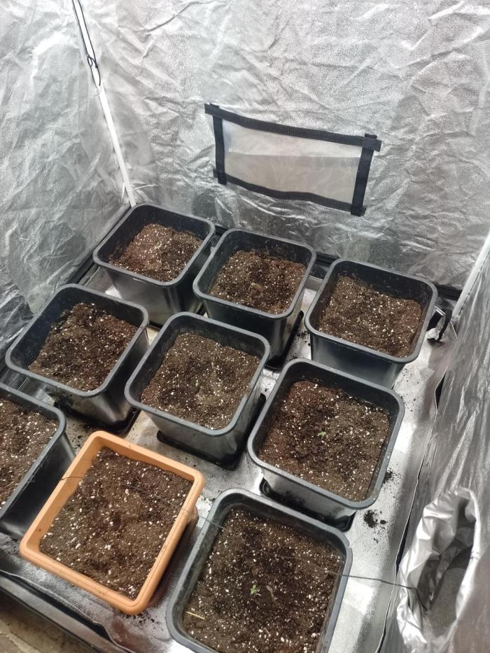 PamirG. Week 0 - 28.11.2025