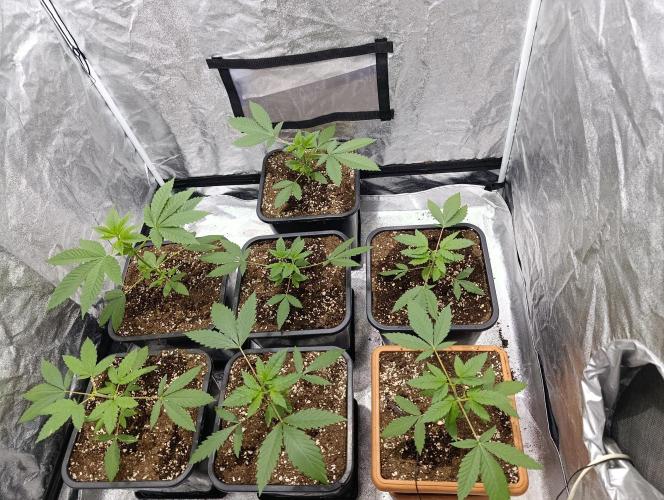 400Watt High Kick. Week 4
