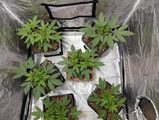 400Watt High Kick. Week 5