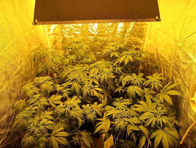 400Watt High Kick. Week 7