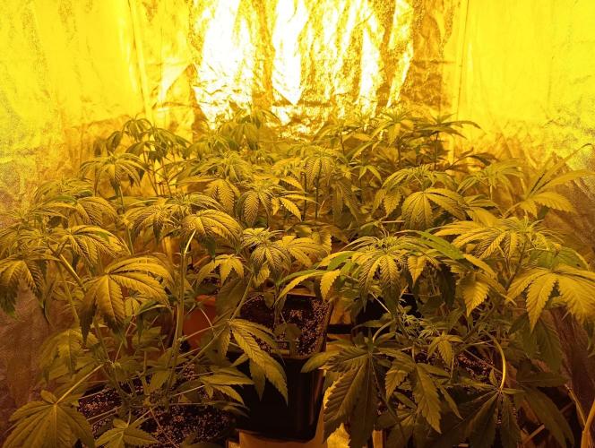 400Watt High Kick. Week 7