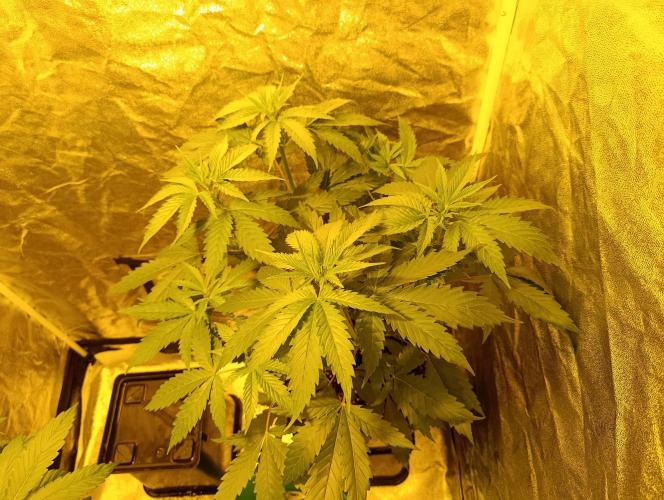 400Watt High Kick. Week 7