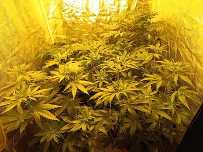 400Watt High Kick. Week 8