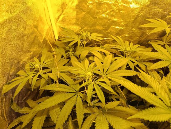 400Watt High Kick. Week 8