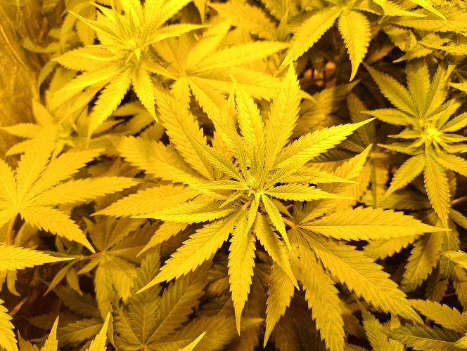400Watt High Kick. Week 8