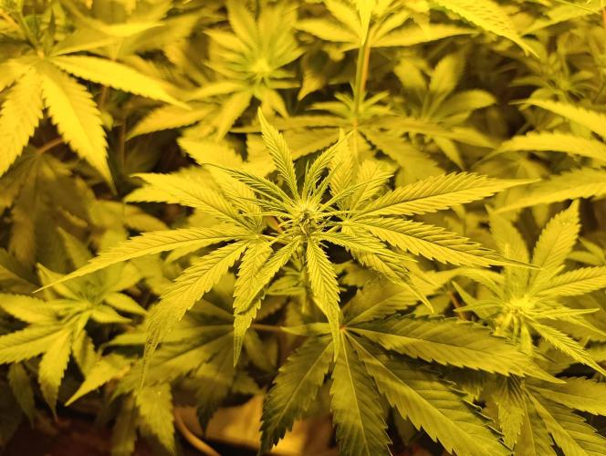 400Watt High Kick. Week 8