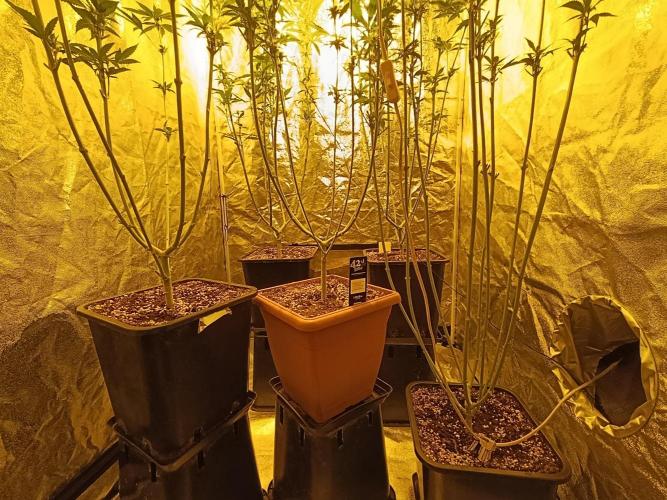400Watt High Kick. Week 9