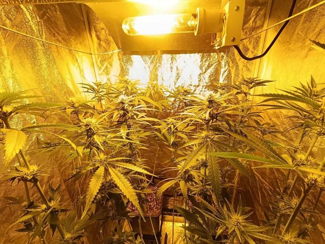 400Watt High Kick. Week 9
