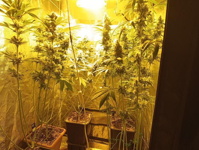 400Watt High Kick. Week 12