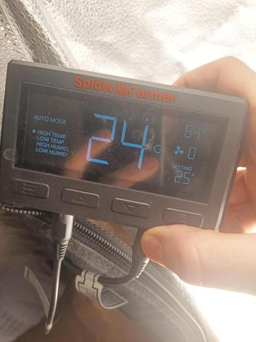 ng Soil - Advanced Seed. Week 0 - VPD : 0,8 KPa