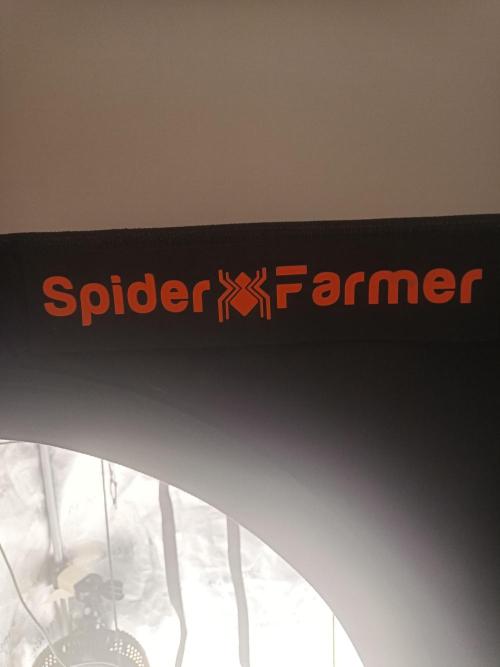 ng Soil - Advanced Seed. Week 0