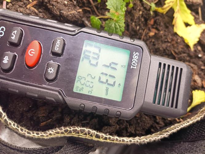 Advanced Seed (gelato#33, Zkittlez, FFC). Week 2