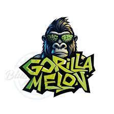 Gorilla Melon Twins. Week 0 - x2