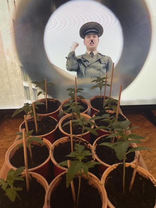 German Can Opner. Week 2