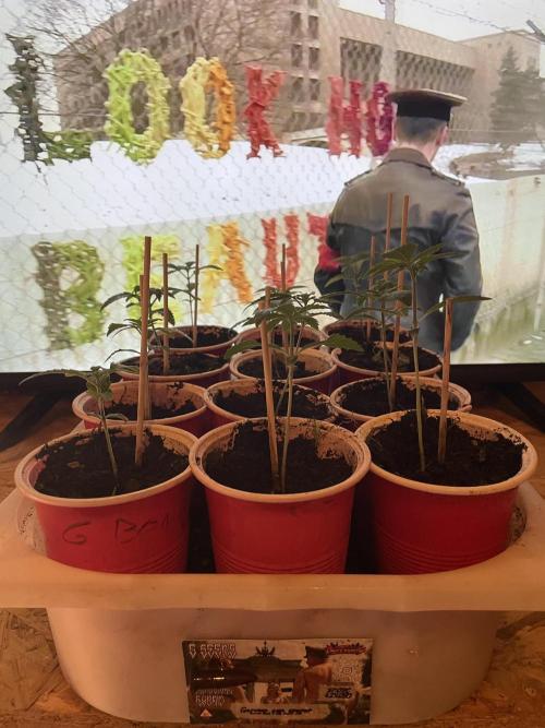 German Can Opner. Week 2