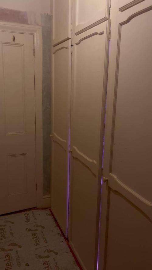 First grow. FastBudz Banana purple punch