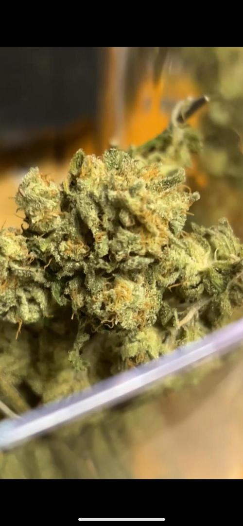 First Run Ever - Early Skunk. Week 9