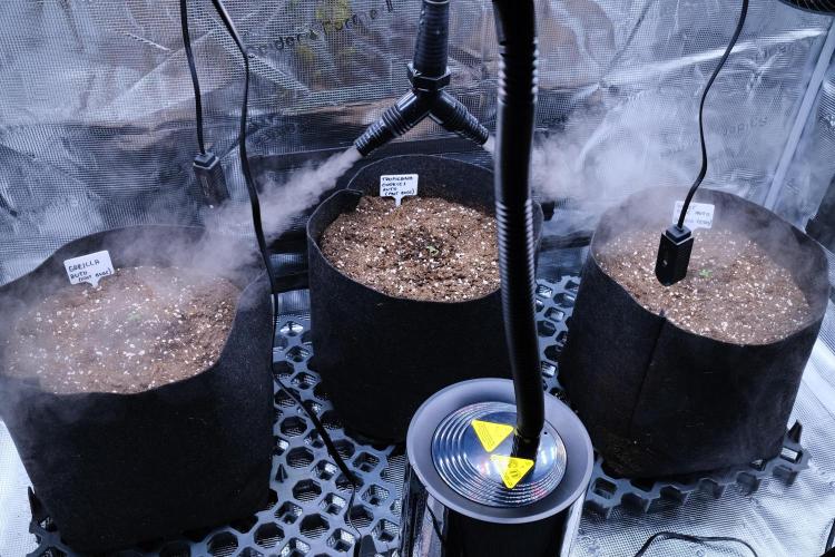 Welcome_Newbie_indoor. Week 0 - First day my girls 