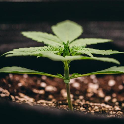 Welcome_Newbie_indoor. Week 2