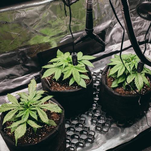 Welcome_Newbie_indoor. Week 3