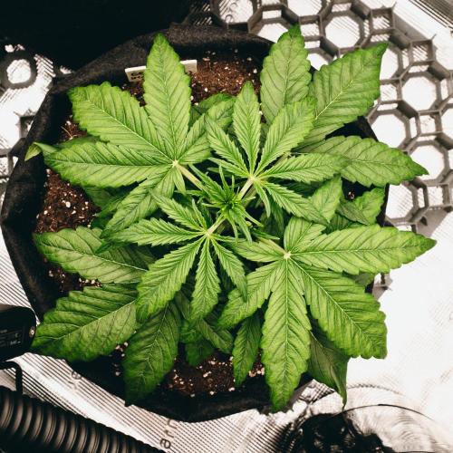 Welcome_Newbie_indoor. Week 3