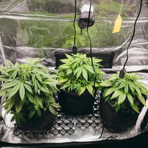 Welcome_Newbie_indoor. Week 4