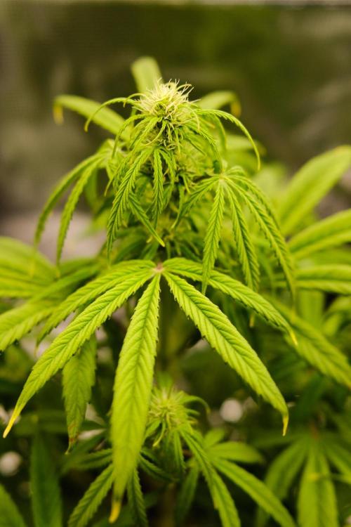 Welcome_Newbie_indoor. Week 5