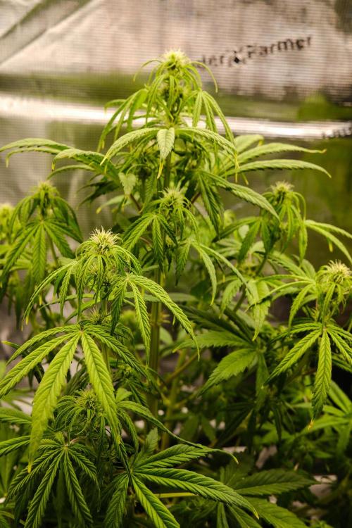 Welcome_Newbie_indoor. Week 5