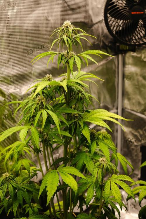 Welcome_Newbie_indoor. Week 5