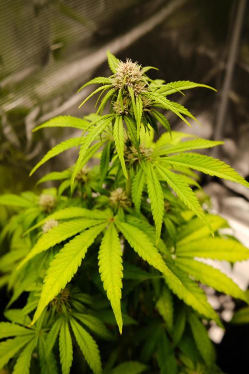 Welcome_Newbie_indoor. Week 5