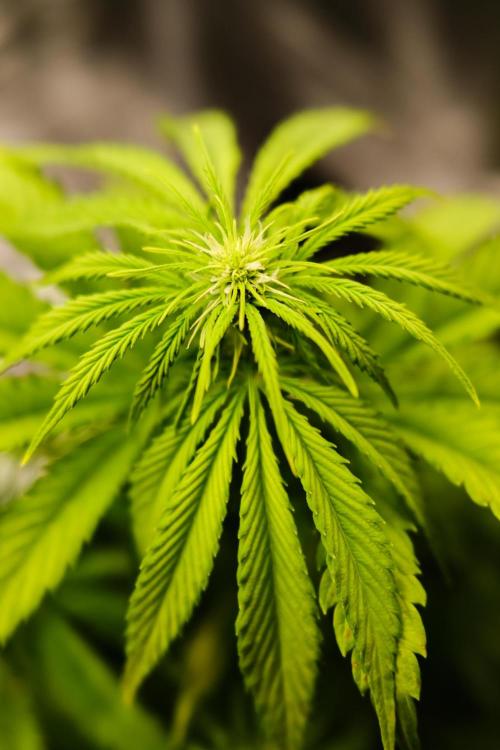 Welcome_Newbie_indoor. Week 5