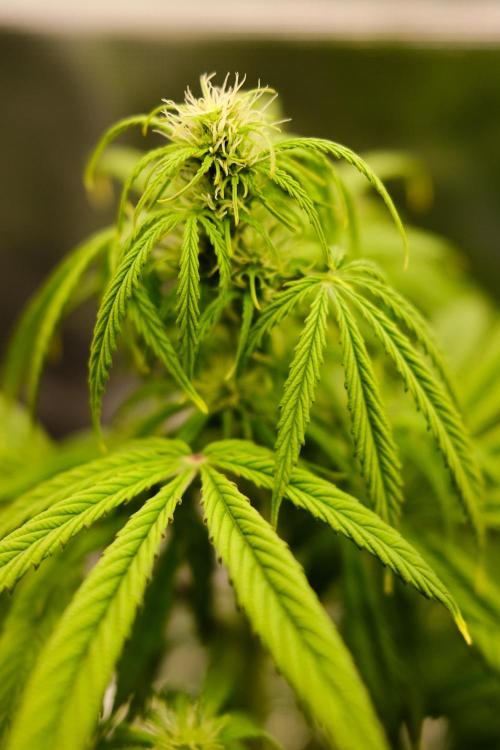 Welcome_Newbie_indoor. Week 5