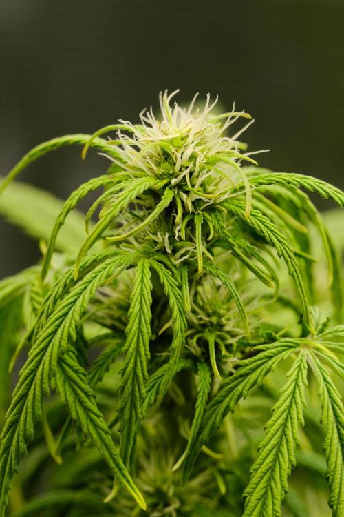 Welcome_Newbie_indoor. Week 5