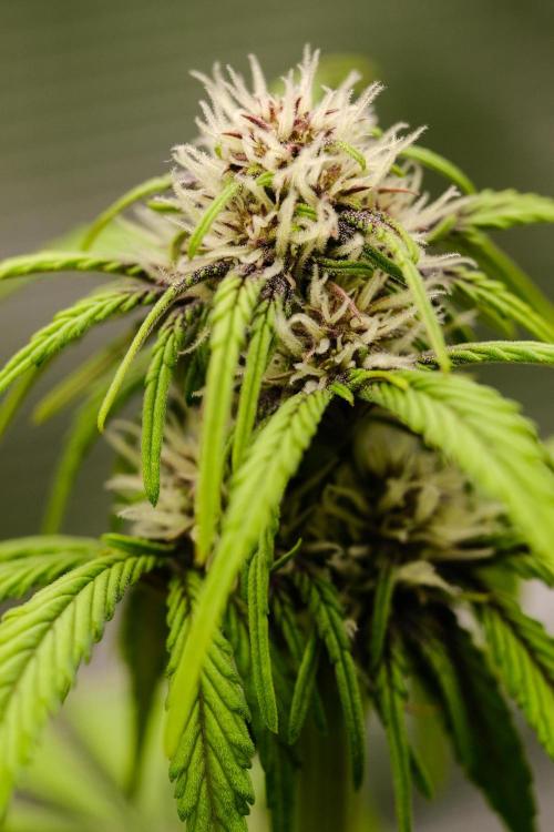 Welcome_Newbie_indoor. Week 5