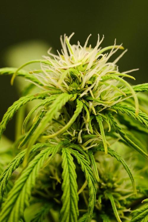 Welcome_Newbie_indoor. Week 5